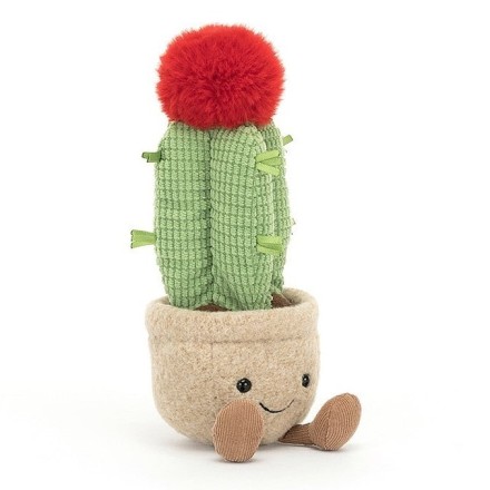 Kuschel Kaktus 'Amuseable Moon Cactus'