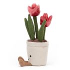 Kuschel Tulpe 'Amuseable Tulip'