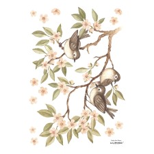 Wandsticker 'Branch & Sparrows' von Lilipinso