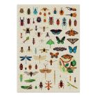 Puzzle 'Insekten' 500 Teile